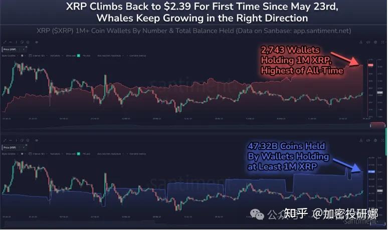 金年会足球官网SHIB上扬势惊人，一夜飙升348%，加密市场沸腾