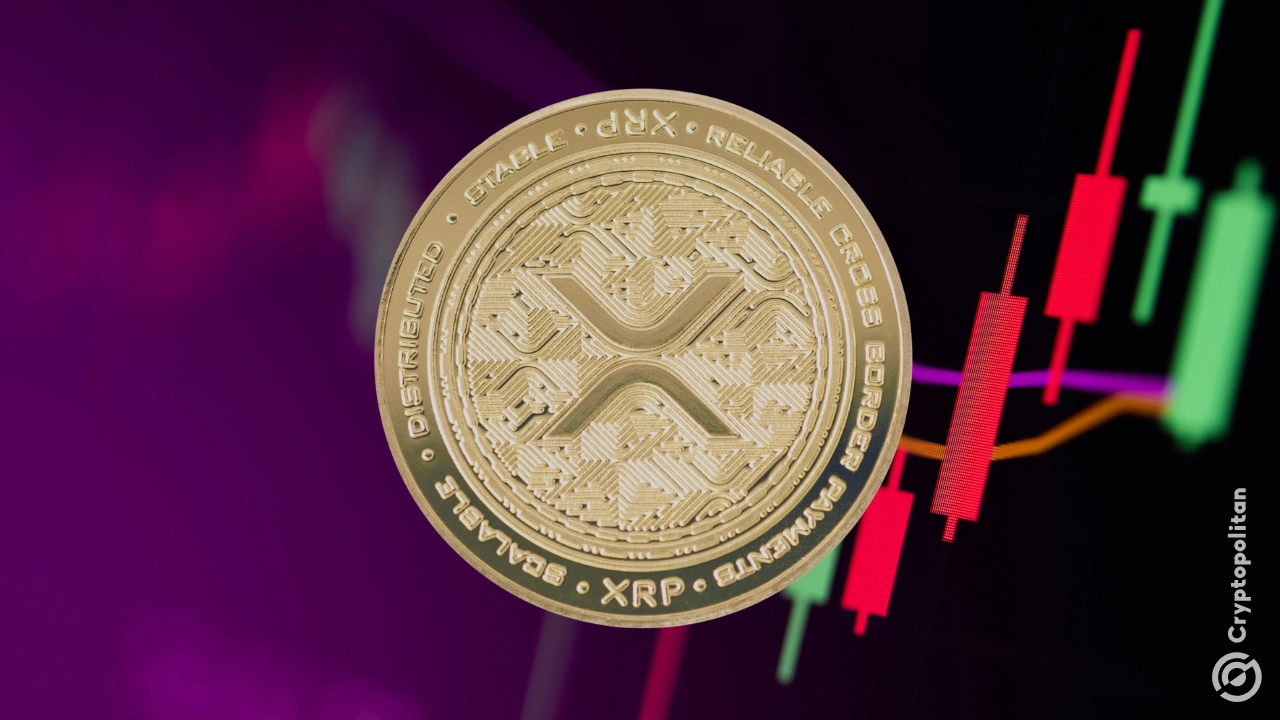 关于XRP上扬势惊人，一夜飙升SHIB%，加密市场沸腾的信息
