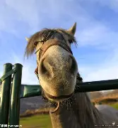 金年会app官方版马斯克再次发推，XRP瞬间上走高498%！